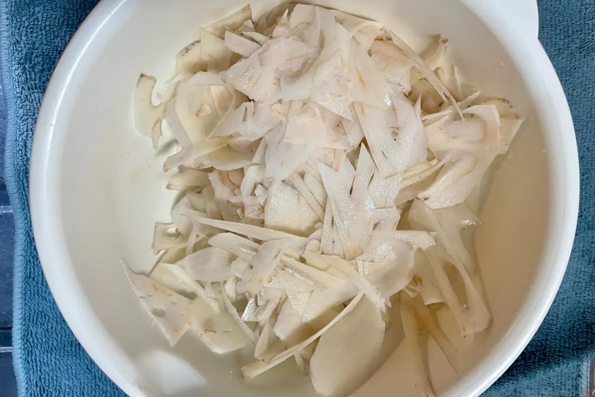 sirabee20250106lotusroot3