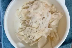 sirabee20250106lotusroot3