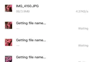 sirabee20250110UGREEN_3