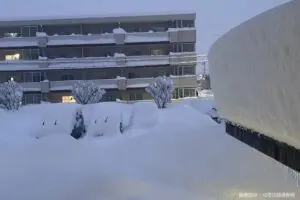 sirabee20250116nagano3