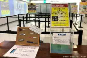 sirabee20250123memanbetsu0