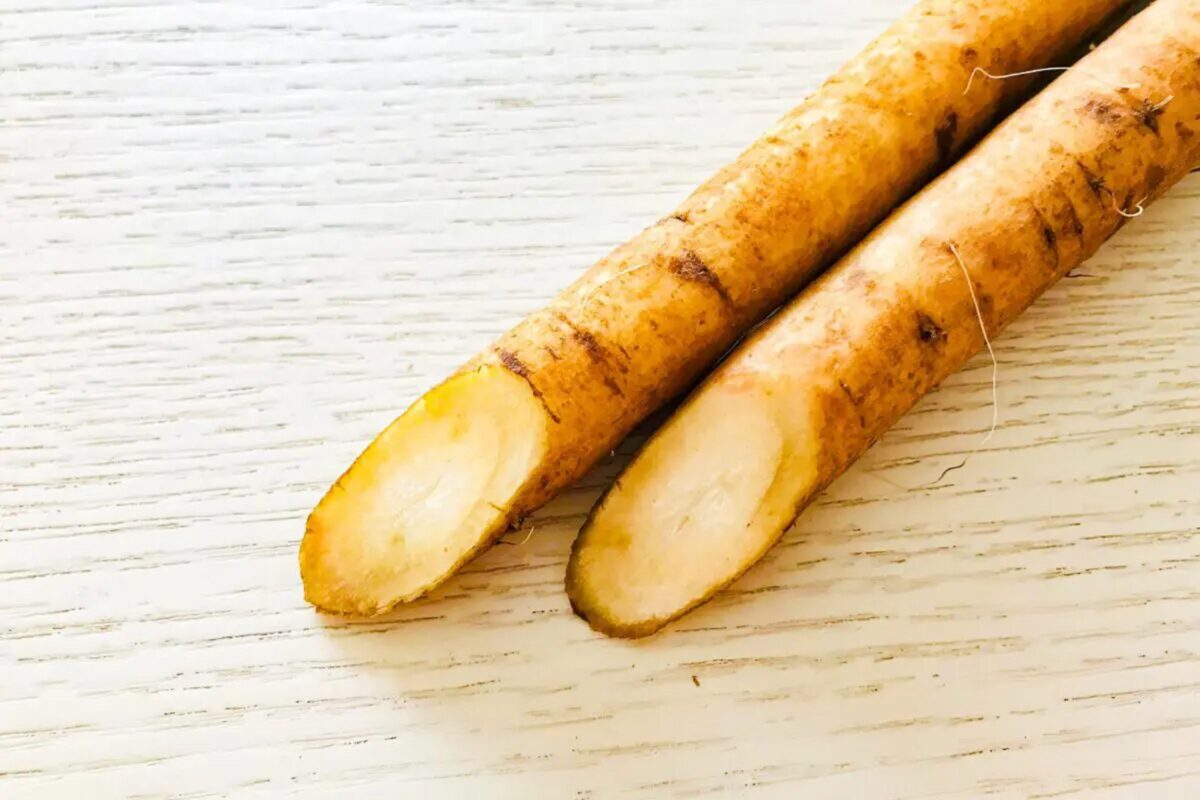 ごぼう 業務用 冷凍 笹ガキ ゴボウ 500g ( ごぼう 牛蒡 ささがき バラ凍結