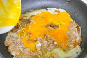 sirabee20250128oyakodon5