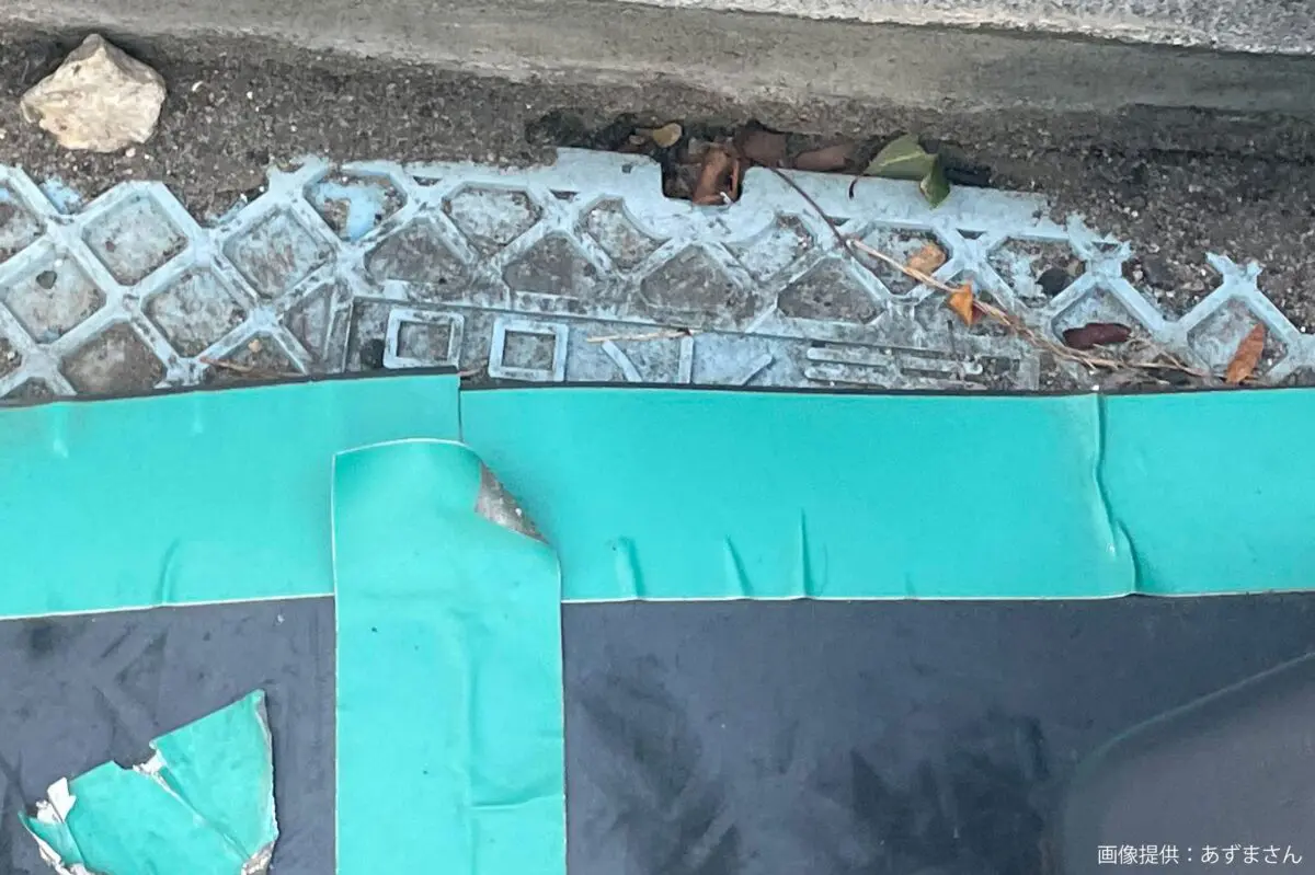 sirabee20250129LUUP2