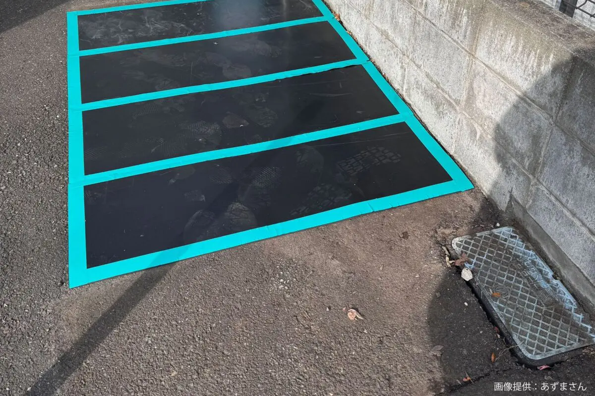 sirabee20250129LUUP3