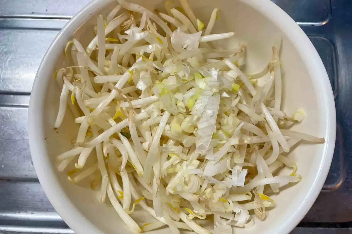 sirabee20250130beansprouts3