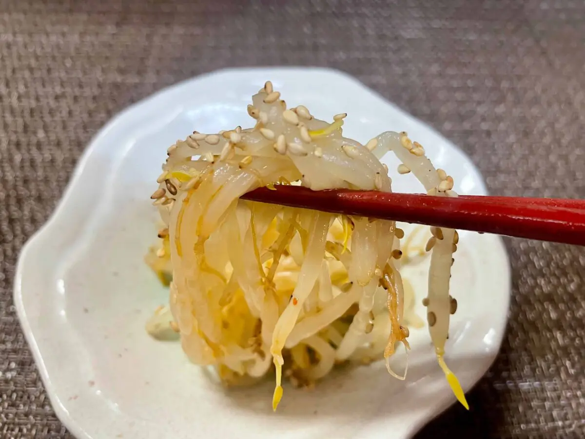 sirabee20250130beansprouts7