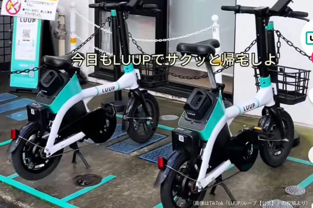 sirabee20250131LUUP2