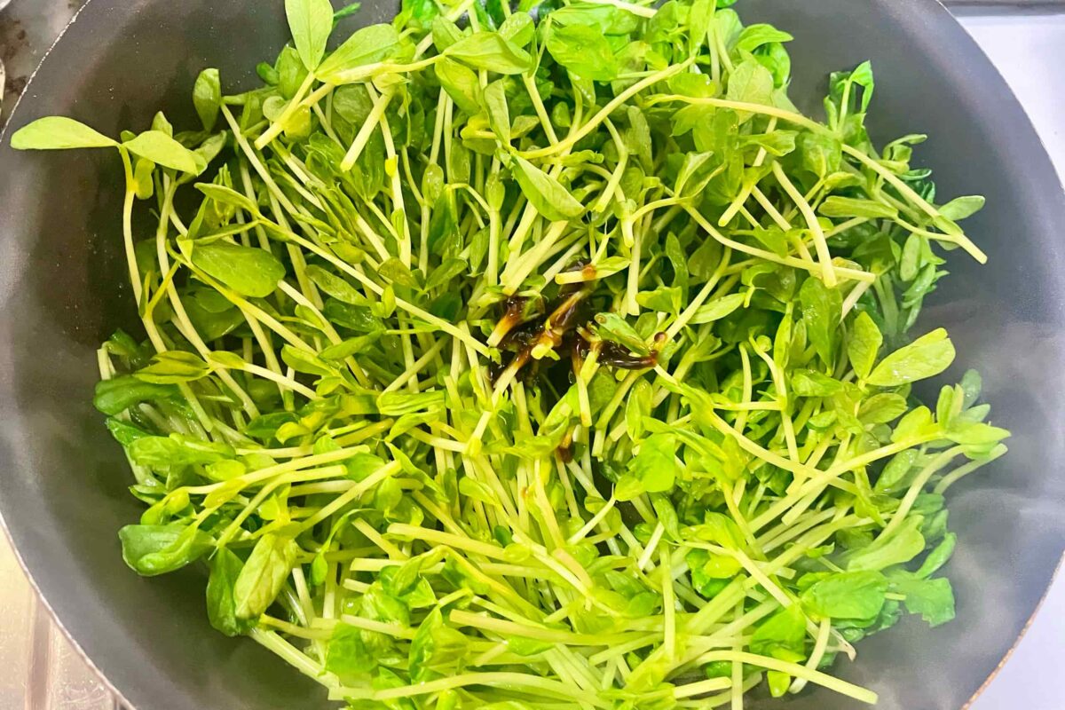 豆苗たまご
