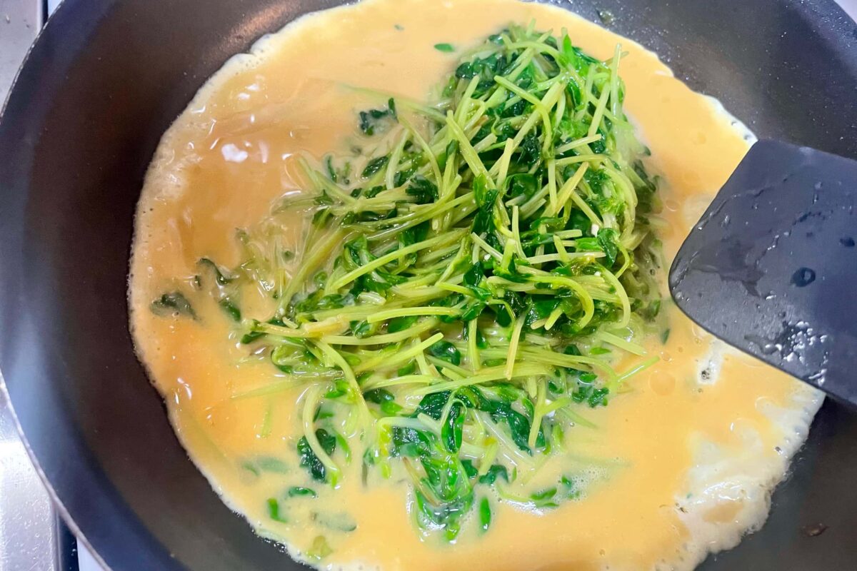 豆苗たまご