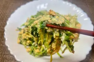 sirabee20250205tomyo8