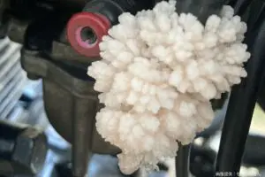 氷点下のバイクに咲いたガソリンの花、有識者は「非常に危険」と警鐘　爆発する恐れも…