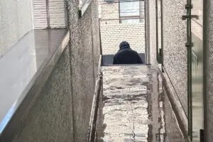 sirabee20250206peyang2445