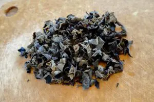 sirabee20250207kikurage2