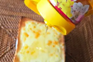 sirabee20250210toast5