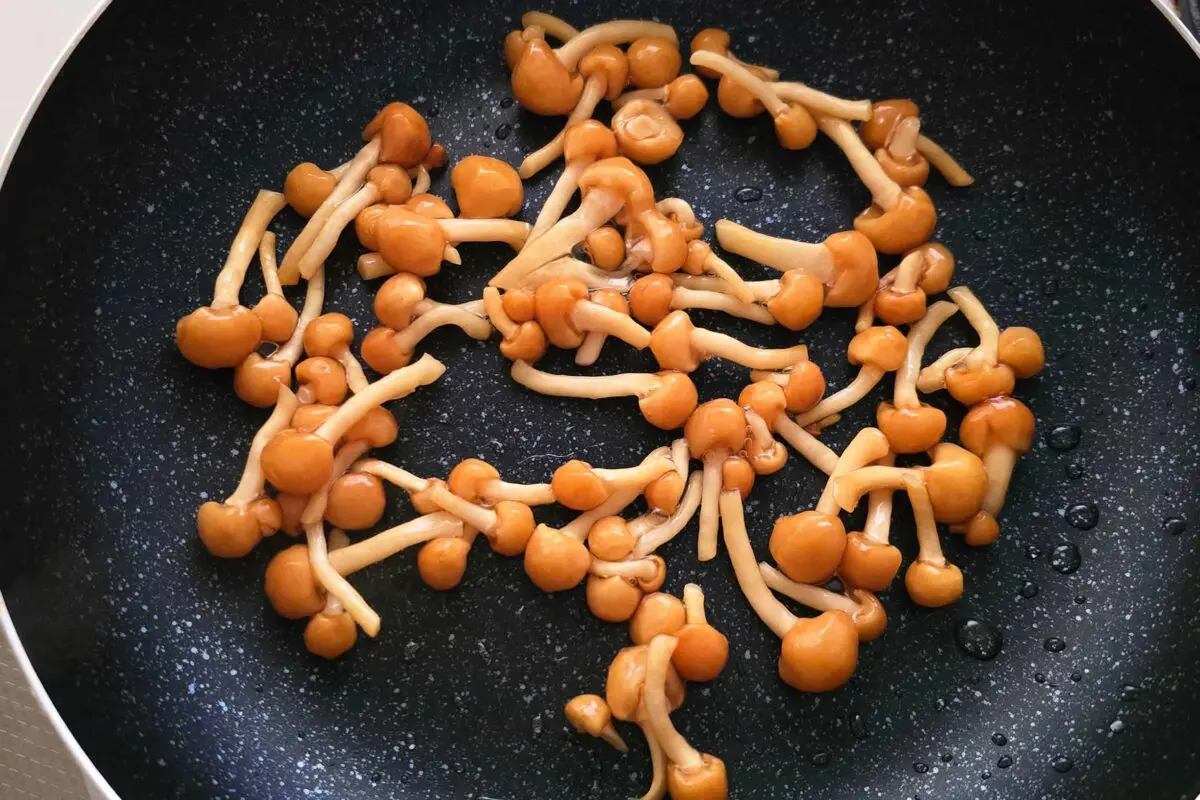 sirabee20250211niku2