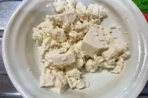 sirabee20250211tofu1