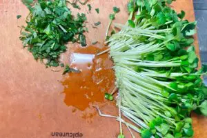 sirabee20250211tofu2