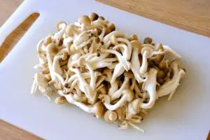 sirabee20250217shibounennsyou6