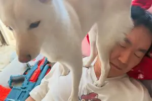 山内健司、ほっこり写真に“あるモノ”が写り… 「誰かいる」「増えてません?」ネットがザワつく