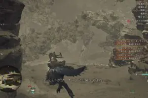 20250304mhw８