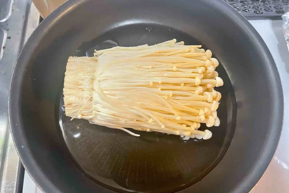 sirabee20250302enoki3