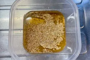 sirabee20250303moyashi2