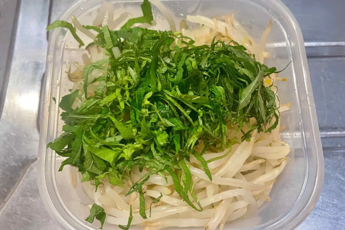 sirabee20250303moyashi3