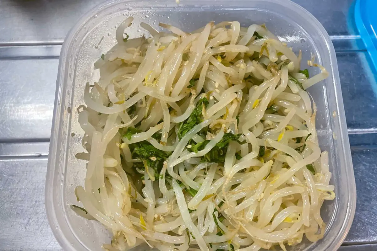 sirabee20250303moyashi4