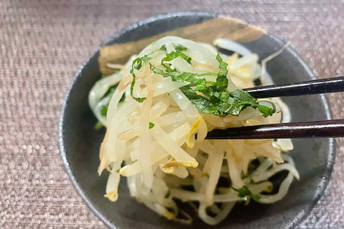 sirabee20250303moyashi6