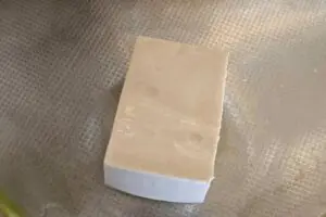 sirabee20250303tofu2