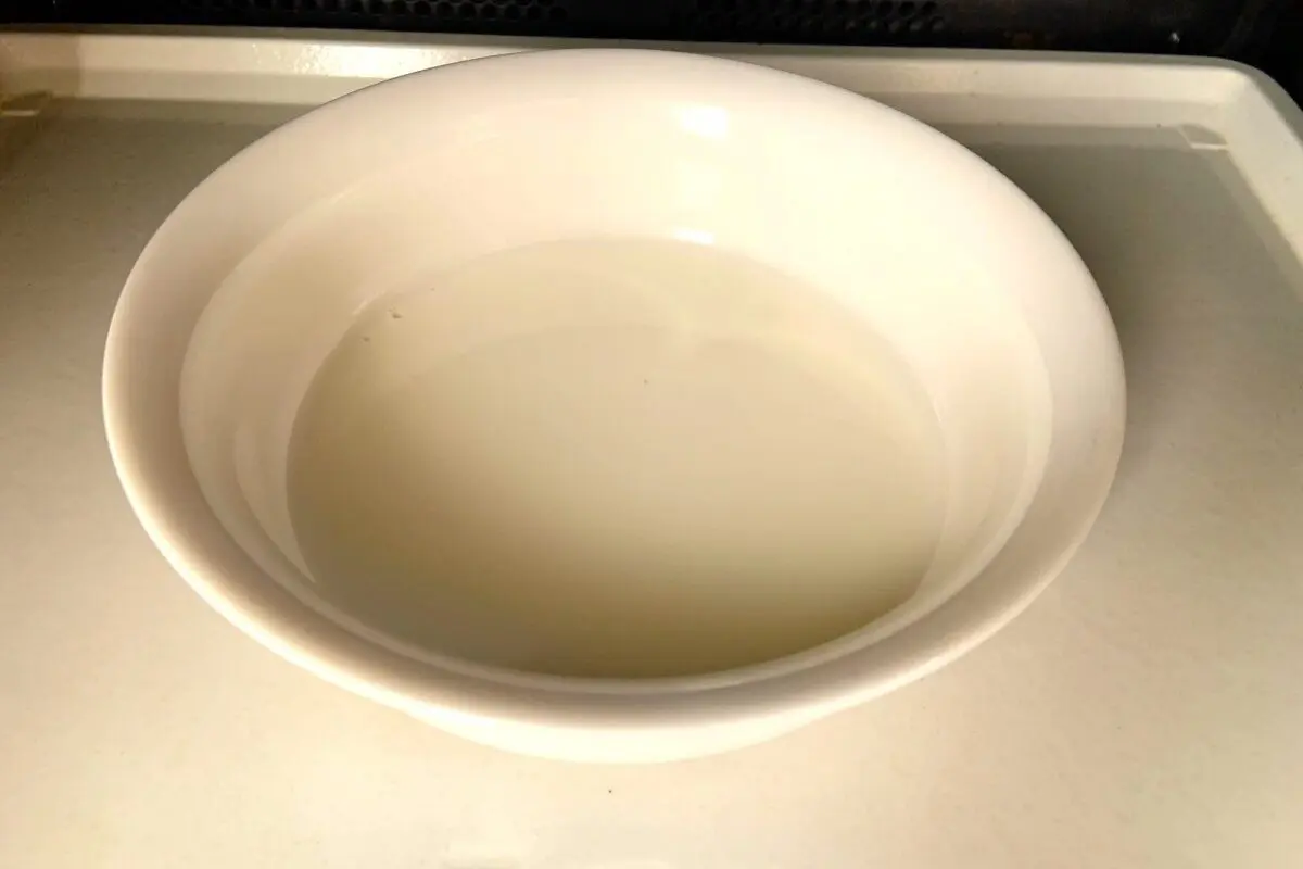 sirabee20250304rennyu5