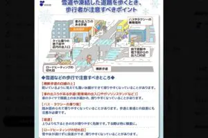 sirabee20250304romentoketsu1