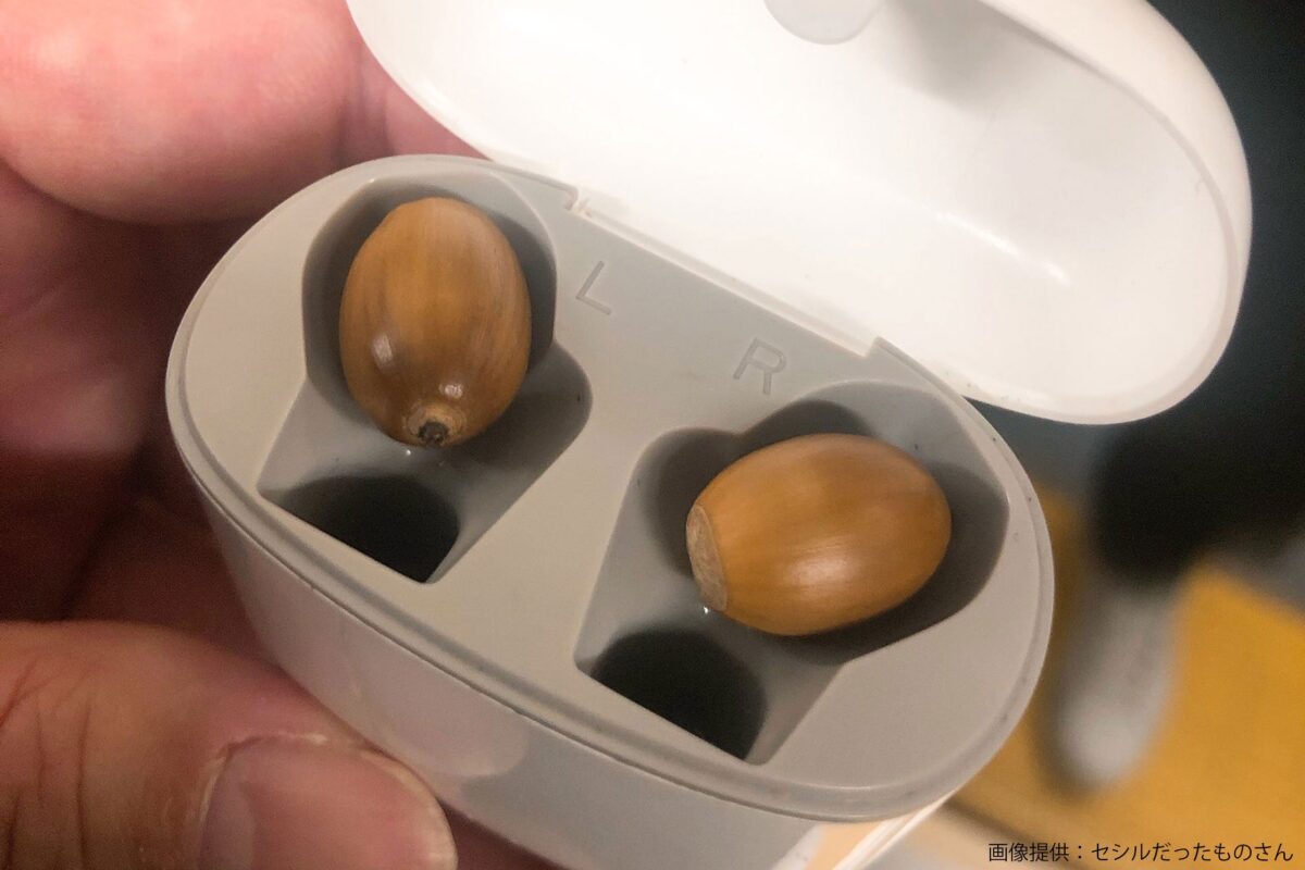 ワイヤレスどんぐり