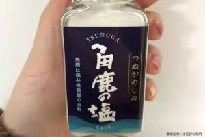 sirabee20250305tsunuga