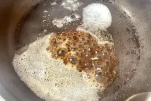 sirabee20250306onion3