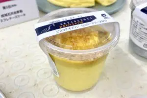 sirabee20250306seijoishiisousenkyo4