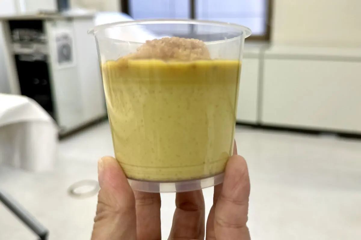 sirabee20250306seijoishiisousenkyo8