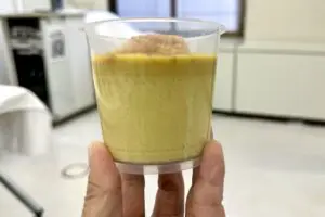 sirabee20250306seijoishiisousenkyo8