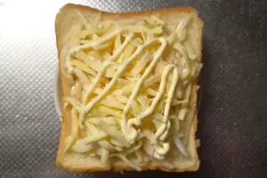 sirabee20250308tamanegi3 (1)