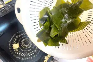 sirabee20250309seaweed5