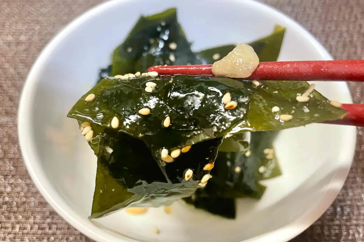 sirabee20250309seaweed7