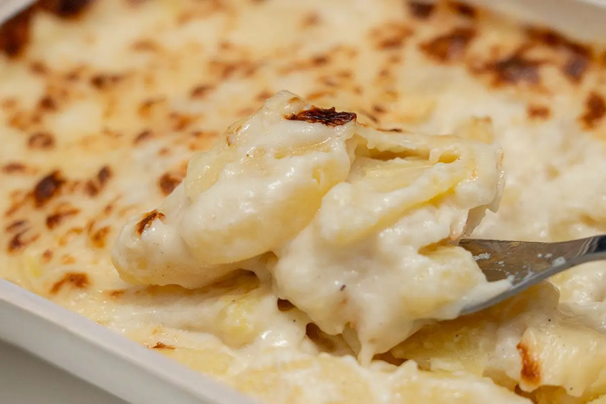 sirabee20250311picard_gratin5