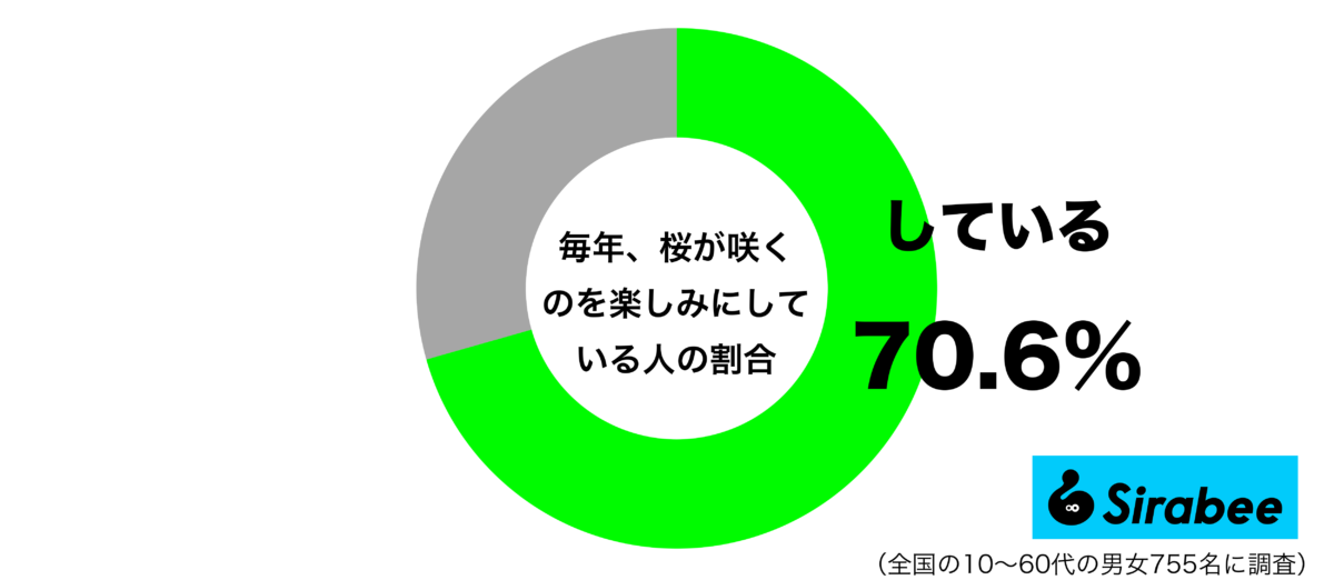 毎年、桜が咲くのを楽しみにしているグラフ