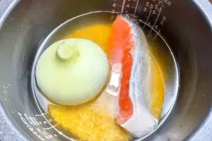 sirabee20250318onion4