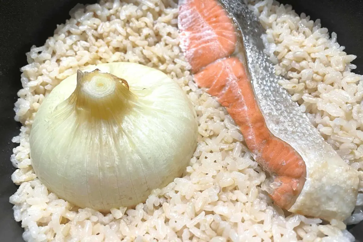 sirabee20250318onion5