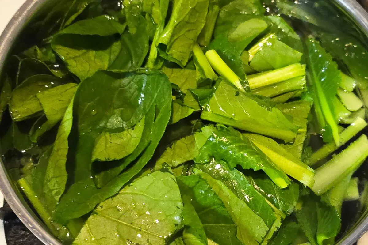 sirabee20250322komatsuna2