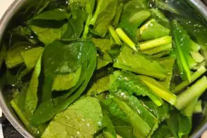 sirabee20250322komatsuna2