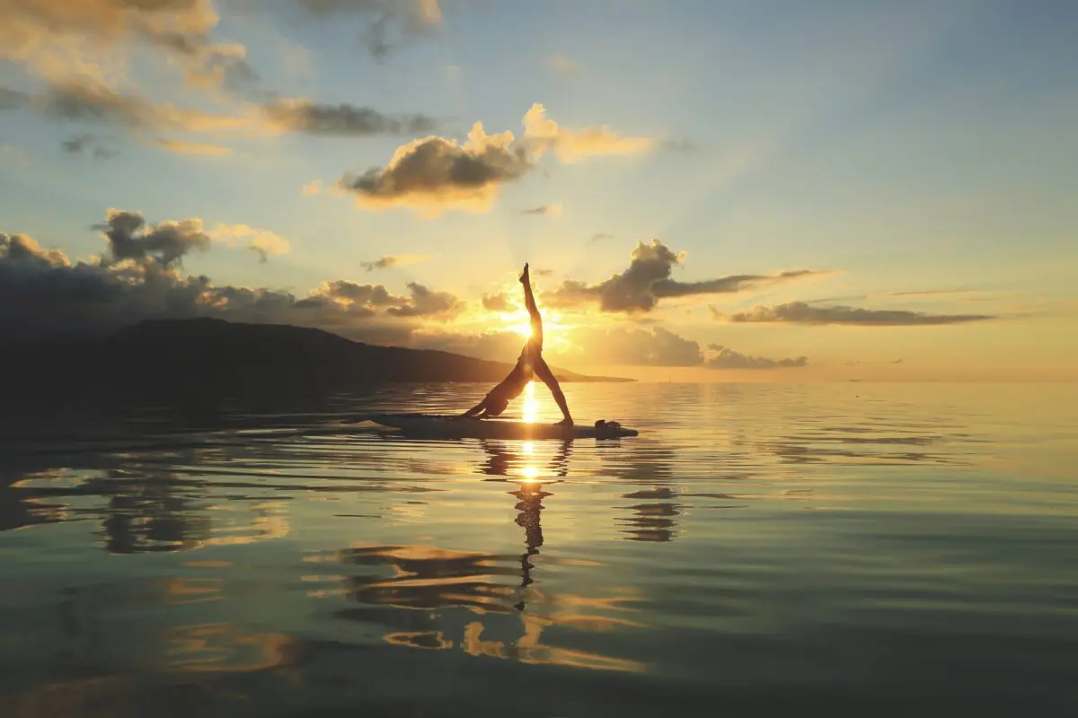 sirabee20250324haimurubushi002