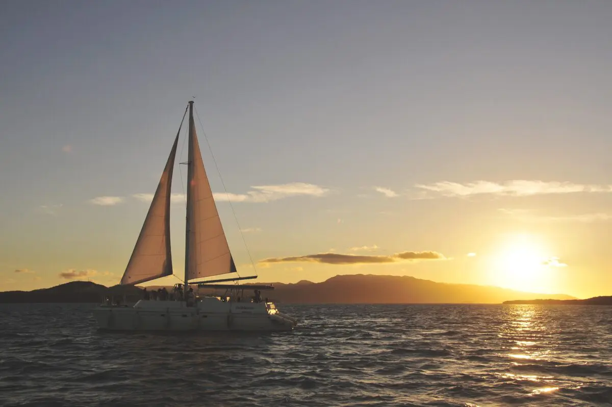 sirabee20250324haimurubushi003